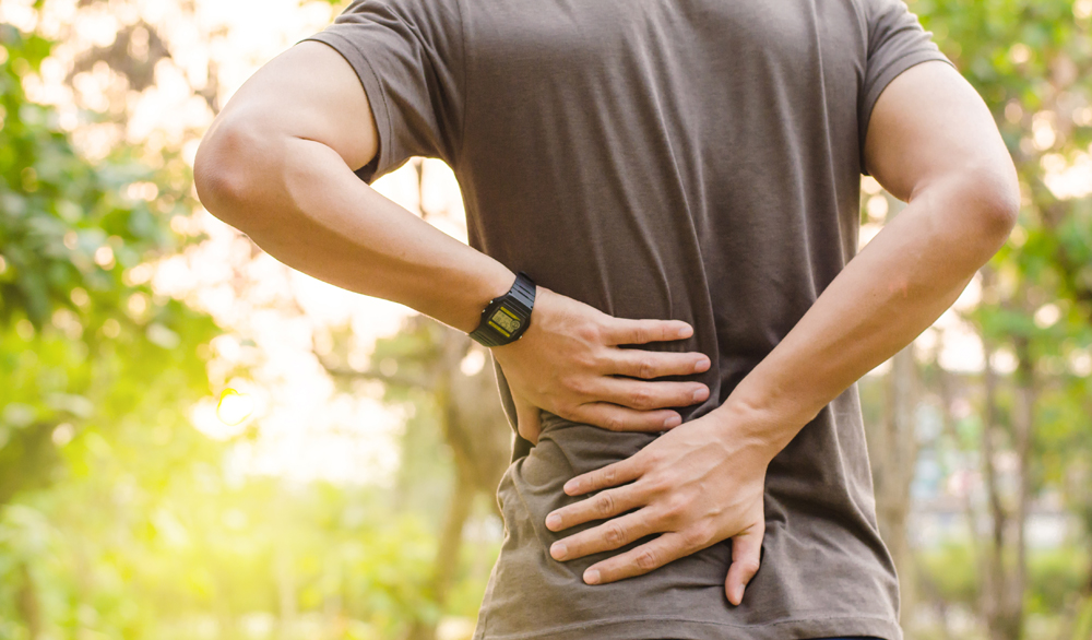 Chiropractor in Tallahassee